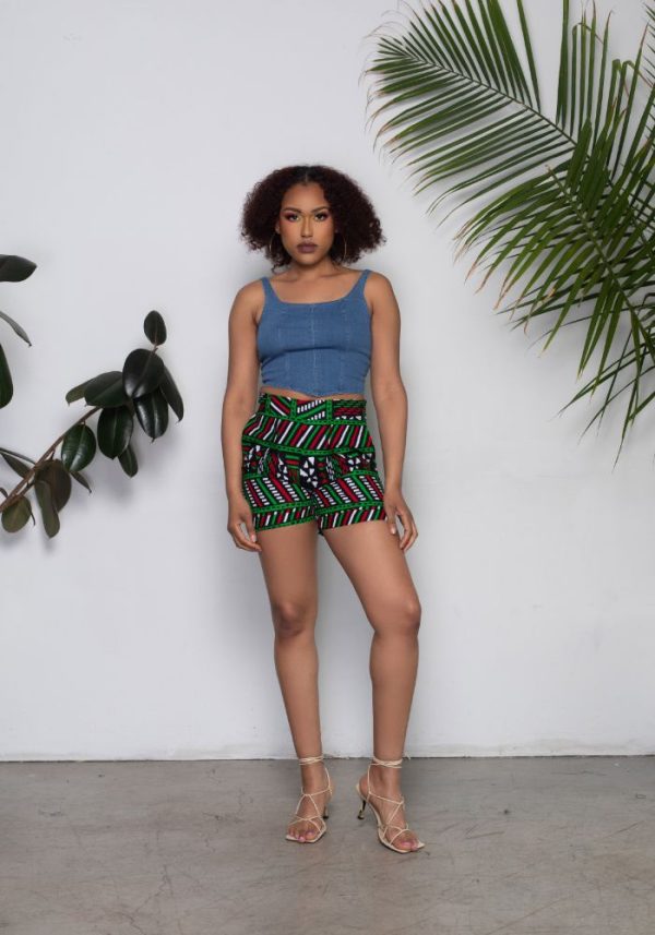Aichatou High Waisted Shorts Supply